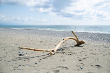 Ahşap üzerine deniz kıyısı