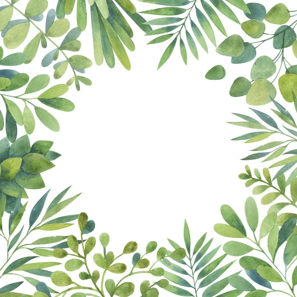 Acquerello Verde Clipart Cornice Con Rami Verdi Green Eucalyptus Clip — Foto Stock