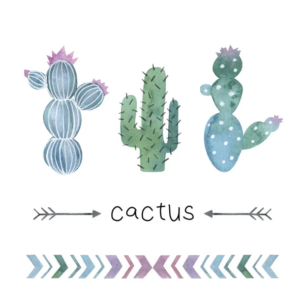 Cactus Cliparts Cactus Acquerello Stampa Cactus Stile Scandinavo Disegno Cactus — Foto Stock