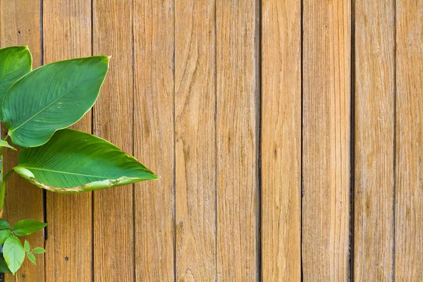 Fresh green leaves on the wooden floor background — Stock Photo, Image