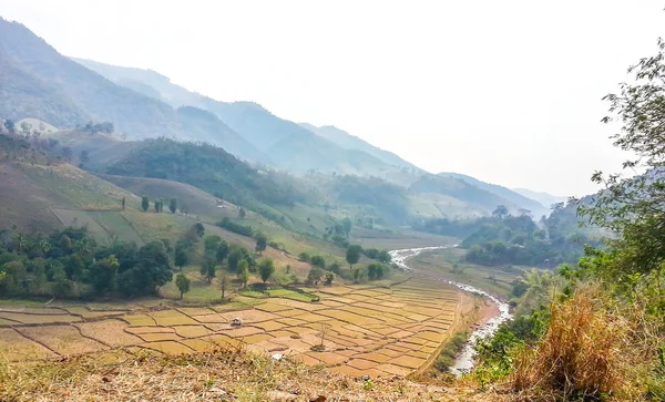 Les terrasses de riz - Les terrasses de riz sur une haute montagne — Photo