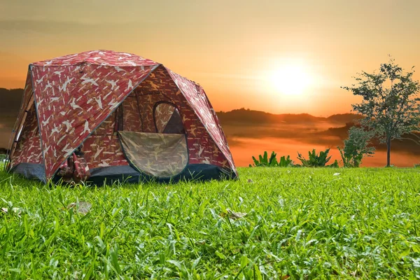 Camping in the forest — Stock Photo, Image