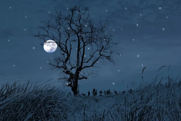 Night forest on a starry sky background — Stock Photo, Image