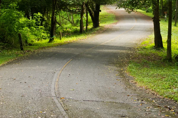 Carretera sinuosa en la montaña —  Fotos de Stock