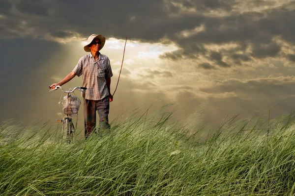 Man rijden bike.on groene veld en de blauwe hemel — Stockfoto