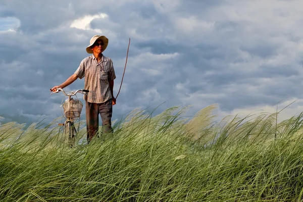 Homem andar de bike.on campo verde e céu azul — Fotografia de Stock