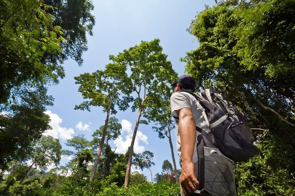 Guid dans la jungle, en Thaïlande — Photo