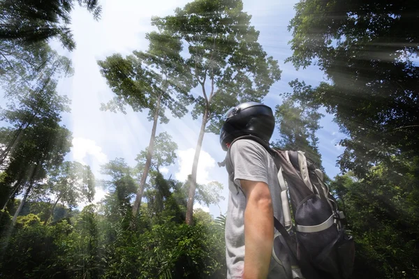 태국에서 정글에서 guid — 스톡 사진