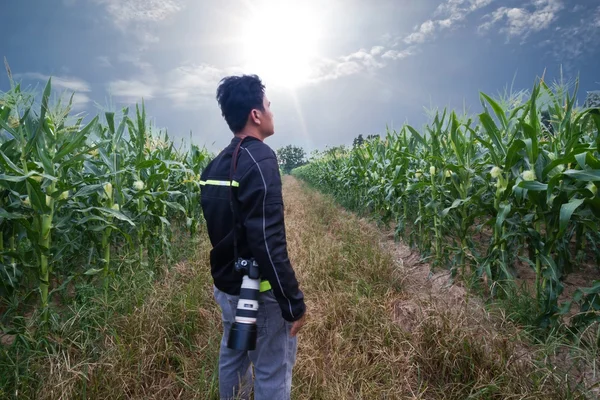 Mann steht auf Maisfeld — Stockfoto