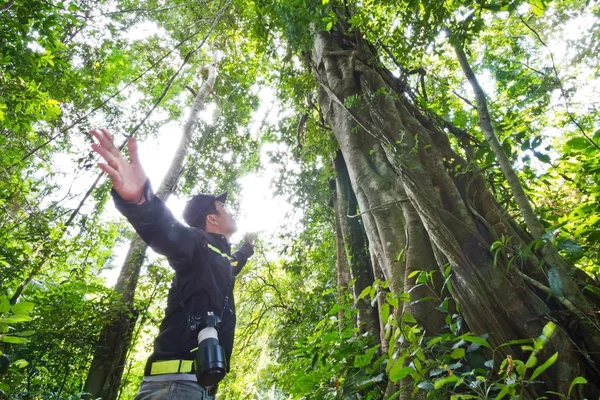 Guid na selva, na Tailândia Fotos De Bancos De Imagens