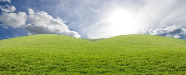 Groene weide in de bergen. Samenstelling van de natuur. — Stockfoto