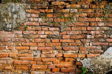 Küflü tuğla duvar arka plan
