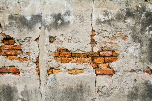 Moldy parede de tijolo fundo — Fotografia de Stock