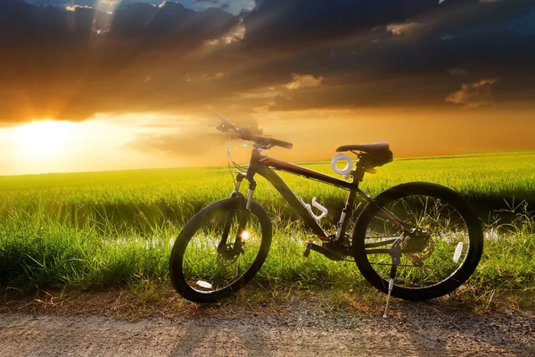 Montanha de bicicleta descendo colina descendo rápido na bicicleta — Fotografia de Stock