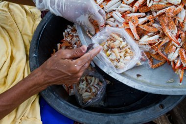 Mavi Yengeç veya at Yengeç pazarında