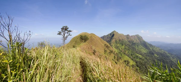 Berg i Thailand vackra natursköna — Stockfoto