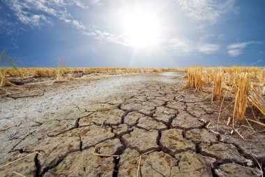 kuru kuru mevsim Earth'te Tayland