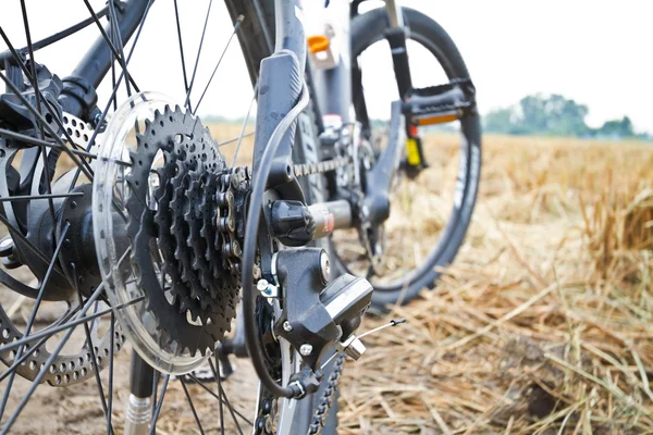 Mountainbiken bergafwaarts aflopende snel op fiets — Stockfoto