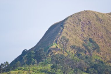 Tayland güzel doğal manzaralı dağda