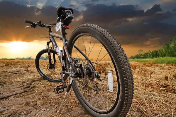 Mountainbiken bergafwaarts aflopende snel op fiets — Stockfoto