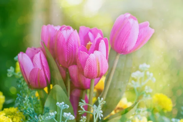Розовый коллаж тюльпана — стоковое фото