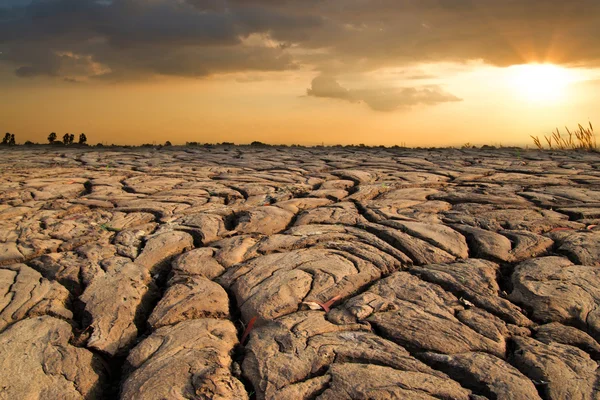 Dry earth texture at thailand — Stock Photo, Image