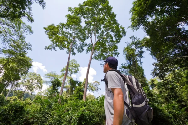 Happy young man with backpack hiking in woods — Stock Photo, Image