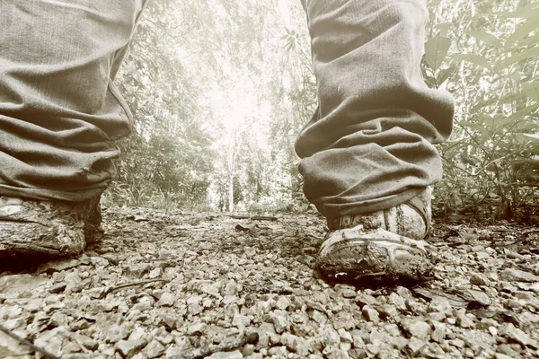 秋の森で男散歩 — ストック写真