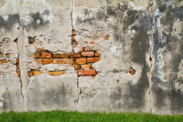 Moldy parede de tijolo fundo — Fotografia de Stock