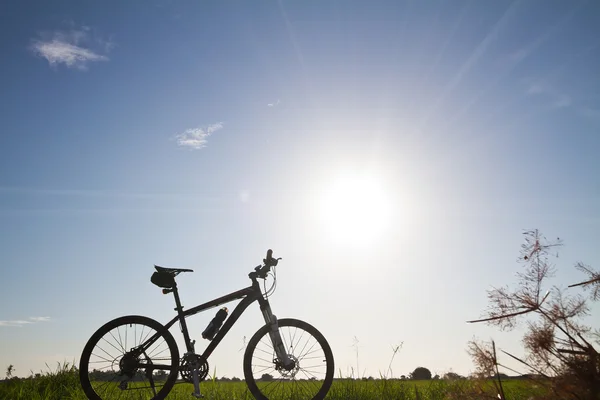Mountain bike silhouet in sunris — Stockfoto