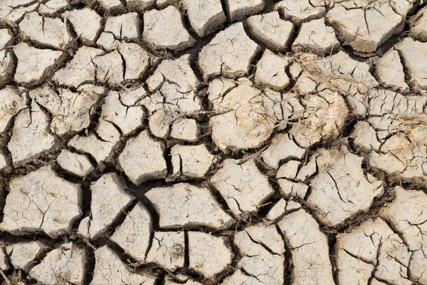 Dry soil — Stock Photo, Image