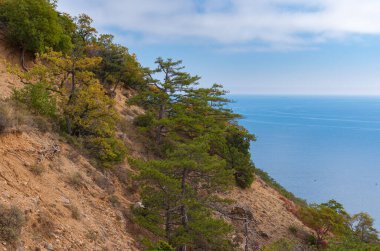 Fall landscape of the Black Sea shore in natural reserve on Cape Martyan near Yalta city, Ukraine