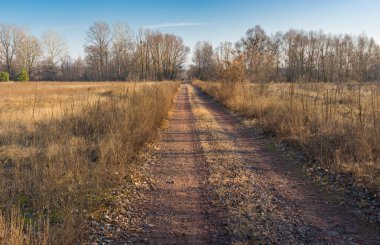 Poltavskaya oblast, Ukrayna 'daki çayır boyunca uzanan boş, düz kırsal yolu olan sonbahar manzarası.