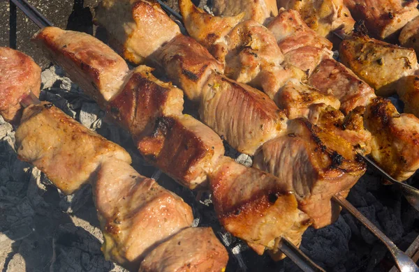 Carne Porco Suculenta Espetos Cozinhando Livre Carvões Ardentes — Fotografia de Stock