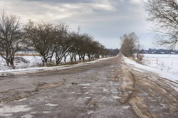 Winter landscape with empty road leading to Velyka Pavlivka village in Poltavskaya oblast, Ukraine