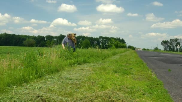 Enior Oekraïense Boer Met Wandelstok Dragen Zware Zak Bos Wilde — Stockvideo