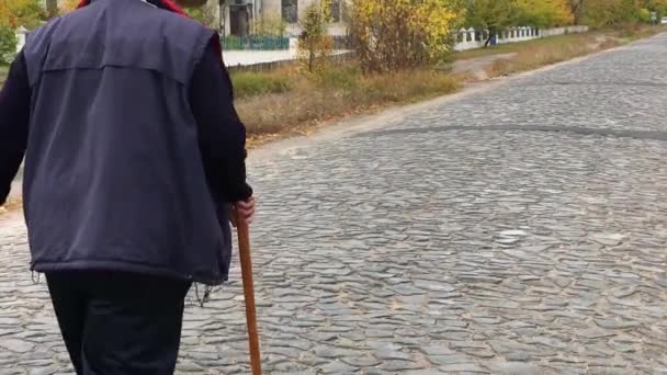 Senior Man Met Wandelstok Dragen Strohoed Lopen Een Kasseistrook Weg — Stockvideo
