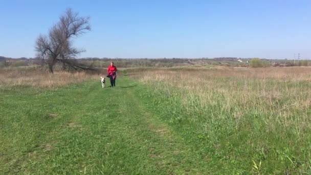 Reife Kaukasierin Läuft Frühling Mit Weißem Mischlingshund Auf Einer Landstraße — Stockvideo