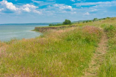 Skelky köyü, Zaporizhia Oblastı, Ukrayna yakınlarındaki Dnipro nehri kıyısında yaban otların arasında yürüyüş yolu olan bahar manzarası.