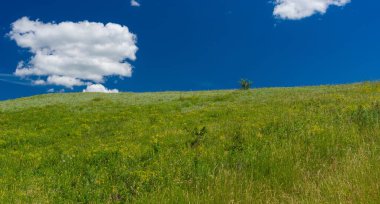 Ukrayna 'nın Dnipro kenti yakınlarındaki dağlık çayırlarda yerel otlarla panoramik manzara