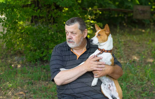 Bärtiger Älterer Mann Schaut Mit Basenji Hund Der Gleichen Stelle — Stockfoto