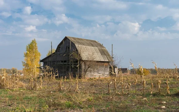 Letni Krajobraz Małą Ukraińską Rzeką Sura Porośnięte Pędem Wierzbami — Zdjęcie stockowe