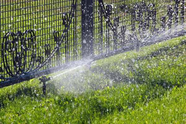 Aspersor de césped rociando agua sobre hierba verde y valla de metal . —  Fotos de Stock