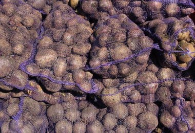 Taze pancar kökleri ile Mesh çuval yığını