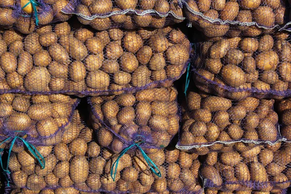 Hromadu ok pytlů s brambory — Stock fotografie