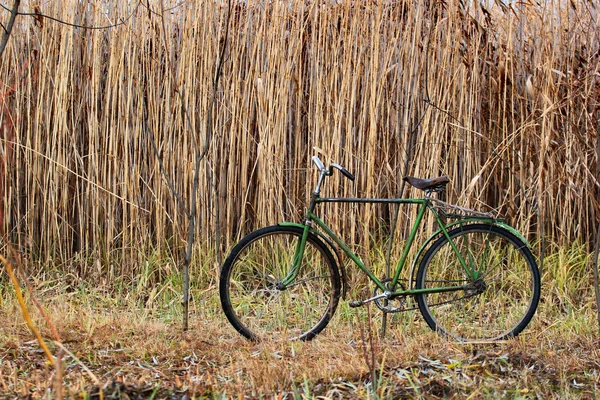 老乡村自行车上干芦苇背景. — 图库照片