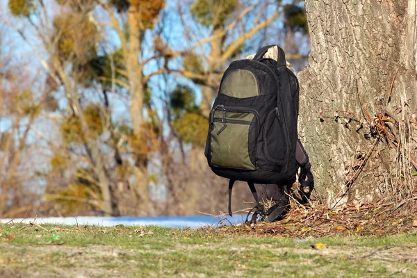Ağaçta asılı eski yeşil sırt çantası — Stok fotoğraf