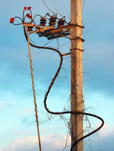 Pólo de energia elétrica de concreto velho com isoladores e cabo — Fotografia de Stock