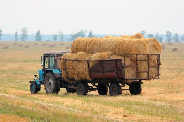 Traktör balya saman hasat alanına taşır.