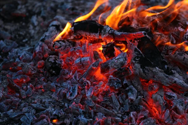Morrer queimando fogueira — Fotografia de Stock